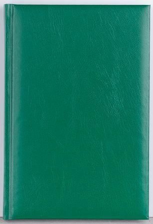Poza cu AGENDA A5 NEDATATA VERDE DOMINO  EGO