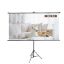 Poza cu ECRAN PROIECTIE 220 x 124.5 CM MANUAL PE TREPIED DELI