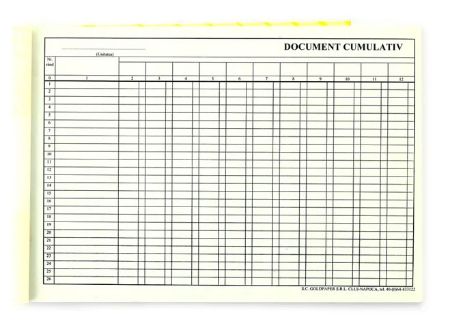 Poza cu DOCUMENT CUMULATIV A4 ORIZONTAL
