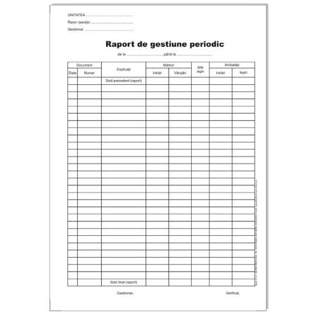 Poza cu RAPORT DE GESTIUNE PERIODIC AUTOCOPIATIV