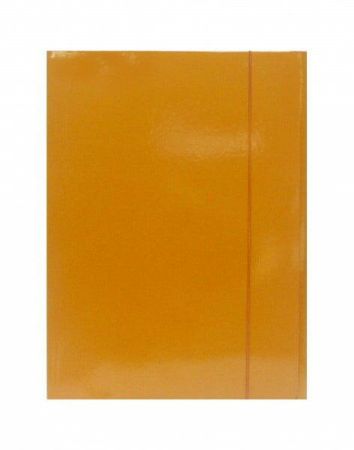Poza cu MAPA CARTON CU ELASTIC PORTOCALIE 600G FORNAX