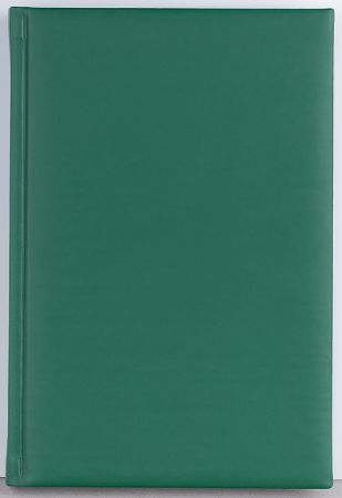 Poza cu AGENDA A5 ZILNICA VERDE 2025 CAPRI EGO