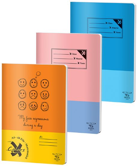 Poza cu CAIET A4 48 FILE ARITMETICA BASIC PIGNA