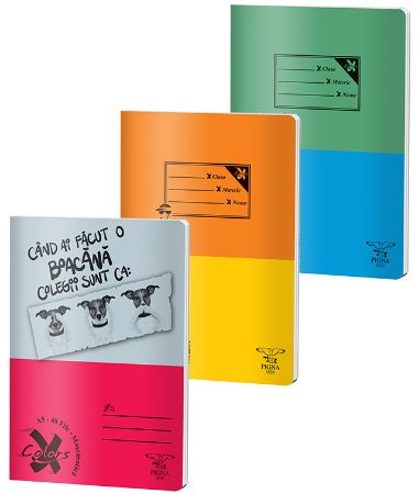 Poza cu CAIET A5 48 FILE ARITMETICA BASIC PIGNA