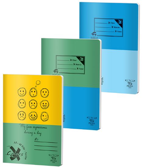 Poza cu CAIET A5 48 FILE VELIN BASIC PIGNA