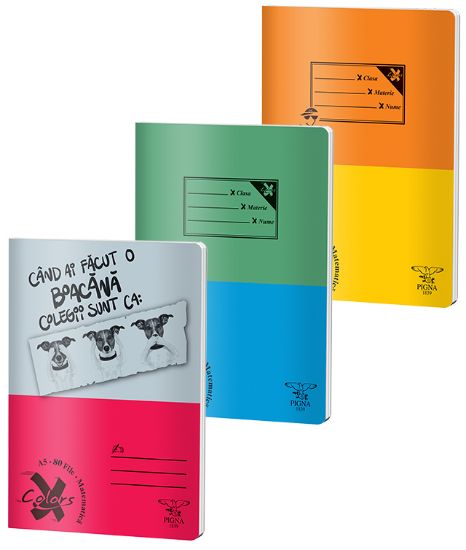 Poza cu CAIET A5 80 FILE ARITMETICA BASIC PIGNA