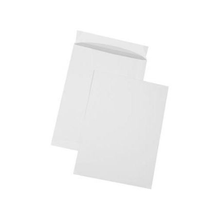 Poza cu PLIC C4 SILICON 90G 229*324MM ALB TIP T 25/S GPV