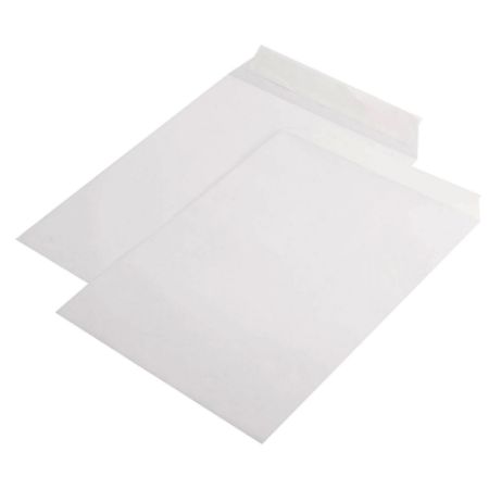 Poza cu PLIC C4 SILICON 90G 229*324MM ALB TIP T 50/S GPV