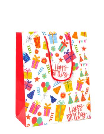 Poza cu PUNGI CADOU YOUNG L 240 x 100 x 335 MM ROTOLUX