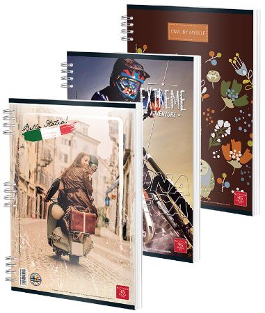 Poza cu CAIET SPIRA A4 50 FILE ARITMETICA COLOR PIGNA