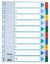 Poza cu SEPARATOARE INDEX CARTON 1-10 MYLAR ESSELTE