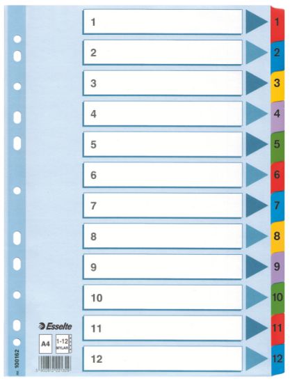 Poza cu SEPARATOARE INDEX CARTON 1-12 MYLAR ESSELTE