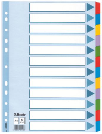 Poza cu SEPARATOARE INDEX CARTON 12 COLI MYLAR ESSELTE