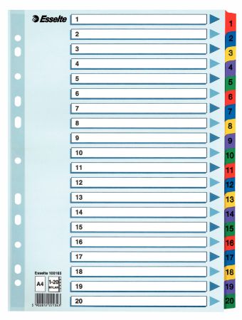 Poza cu SEPARATOARE INDEX CARTON 1-20 MYLAR ESSELTE