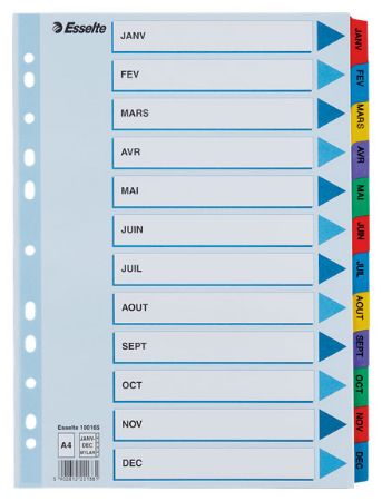 Poza cu SEPARATOARE INDEX CARTON IAN-DEC MYLAR ESSELTE