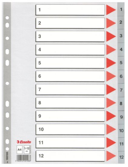 Poza cu SEPARATOARE INDEX PLASTIC 1-12 ESSELTE