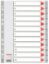 Poza cu SEPARATOARE INDEX PLASTIC 1-12 ESSELTE