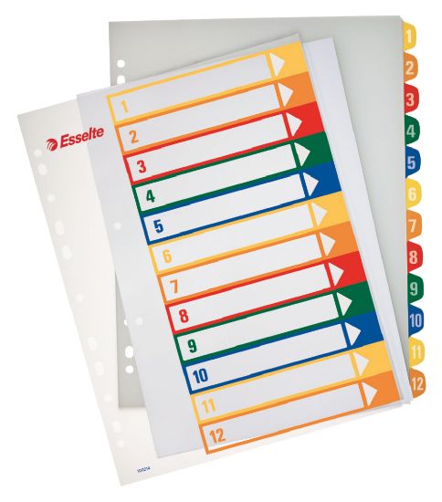 Poza cu SEPARATOARE INDEX PLASTIC 1-12 IMPRIMABIL ESSELTE