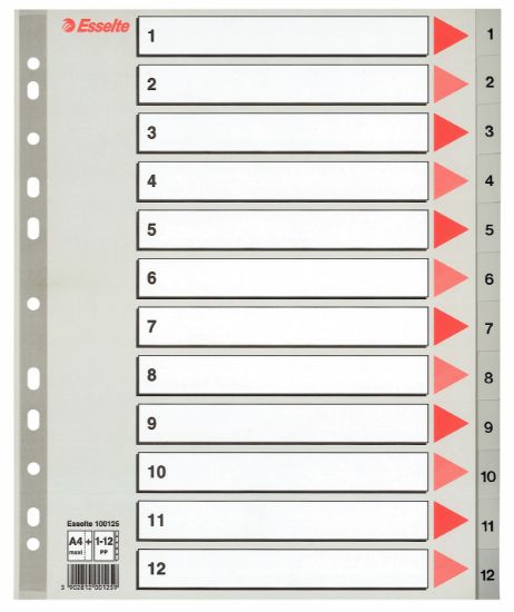 Poza cu SEPARATOARE INDEX PLASTIC 1-12 MAXI ESSELTE