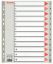 Poza cu SEPARATOARE INDEX PLASTIC 1-12 MAXI ESSELTE