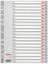 Poza cu SEPARATOARE INDEX PLASTIC 1-20 ESSELTE