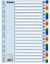 Poza cu SEPARATOARE INDEX PLASTIC 20 CULORI ESSELTE