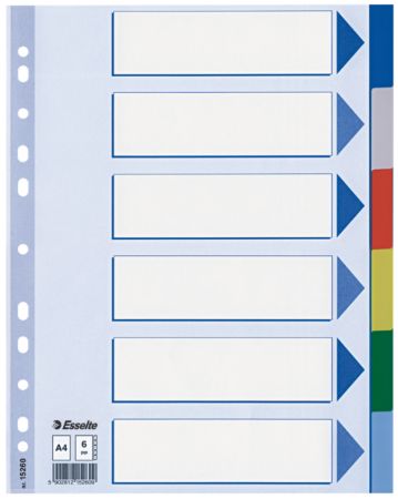 Poza cu SEPARATOARE INDEX PLASTIC 6 CULORI ESSELTE