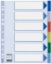 Poza cu SEPARATOARE INDEX PLASTIC 6 CULORI ESSELTE