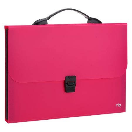 Poza cu SERVIETA PLASTIC CU MANER 7 COMPART. DIV. CUL. NEON DELI