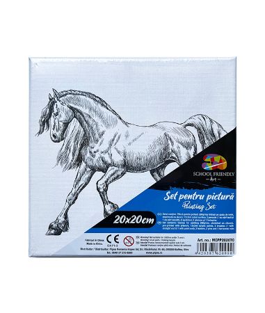 Poza cu PANZA PREDESENATA PE SASIU 20*20CM CAL SF ART PIGNA