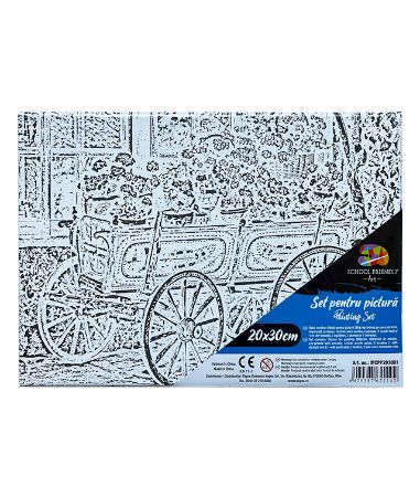 Poza cu PANZA PREDESENATA PE SASIU 20*30CM FLORI 2 SF ART PIGNA