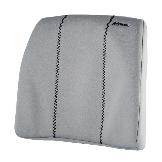 Poza cu SUPORT ERGONOMIC PENTRU SPATE GRI FELLOWES