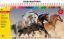 Poza cu CREIOANE COLORATE 36 CULORI CUTIE METAL EBERHARD FABER