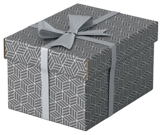 Poza cu CUTIE DEPOZITARE CU CAPAC 25 x 20 x 15 CM GRI RECYCLED ESSELTE