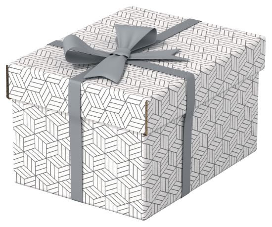 Poza cu CUTIE DEPOZITARE CU CAPAC 25 x 20 x 15 CM ALBA RECYCLED ESSELTE