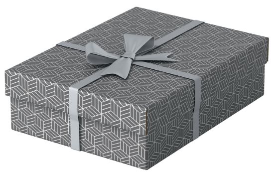 Poza cu CUTIE DEPOZITARE CU CAPAC 36 x 26 x 10 CM GRI RECYCLED ESSELTE