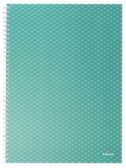 Poza cu CAIET BIROU SPIRA A4 80 FILE DICTANDO VERDE COPERTA CARTON COLOUR'BREEZE ESSELTE