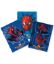 Poza cu COPERTI CAIET A5 SPIDERMAN HC PIGNA