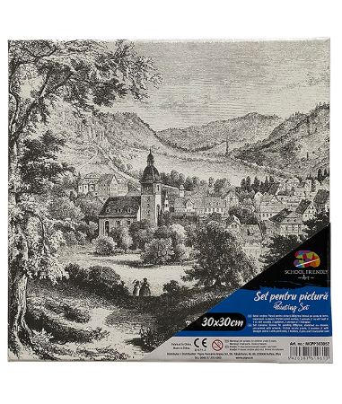 Poza cu PANZA PREDESENATA PE SASIU 30 x 30 CM PEISAJ SF ART PIGNA