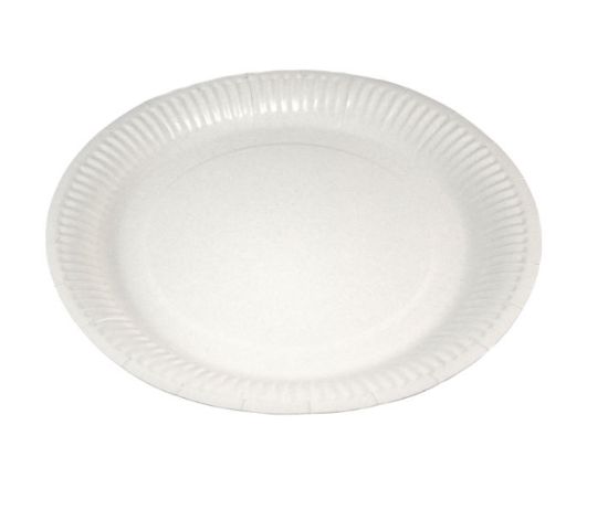 Poza cu FARFURII CARTON 50/SET