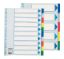 Poza cu SEPARATOARE INDEX PLASTIC 10 CULORI MAXI ESSELTE