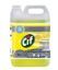 Poza cu DETERGENT UNIVERSAL PARDOSELI 5L CIF