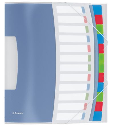 Poza cu MAPA PLASTIC CU ELASTIC 12 COMPARTIMENTE VIVIDA ESSELTE