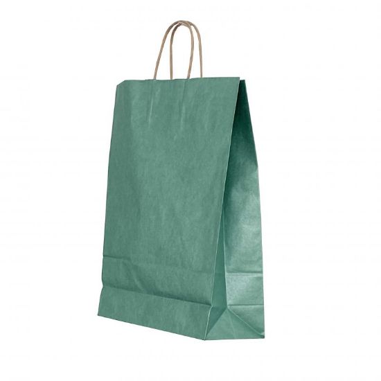 Poza cu PUNGA HARTIE MANER RASUCIT 22 x 10 x 31 CM VERDE/MARO PAPIROTI