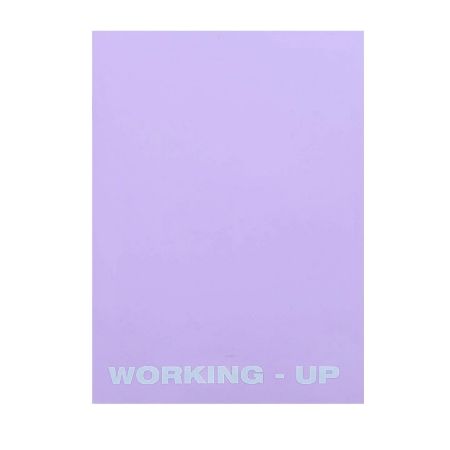 Poza cu CAIET A5 48 FILE VELIN COPERTA PP WORKING UP PIGNA