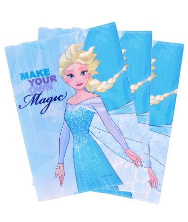 Poza cu COPERTI CAIET A5 FROZEN PIGNA