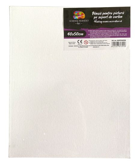 Poza cu CARTON PANZAT 3 MM 40 x 50 CM SF ART PIGNA