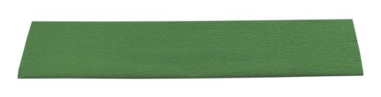 Poza cu HARTIE CREPONATA HOBBY 50X200CM VERDE