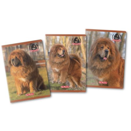 Afișează detalii pentru CAIET A4 80F DICTANDO MOTIV BOSS PHANTOM Poza cu CAIET A4 80F DICTANDO MOTIV BOSS PHANTOM