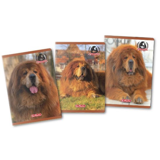 Poza cu CAIET A4 80F PATRATELE MOTIV BOSS PHANTOM